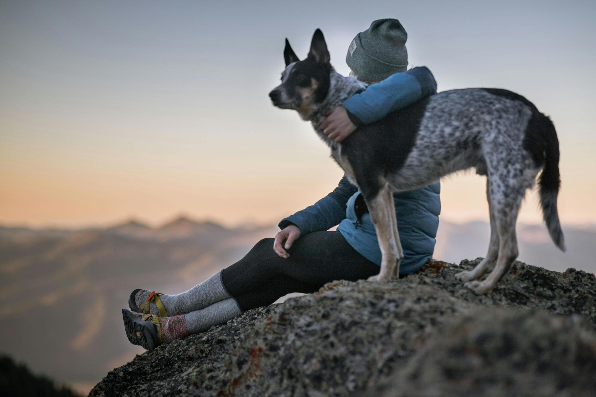 Best Vets in Boise